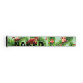 NAKED Optics Extra-Band (45 mm) für FORCE EVO, TROOP EVO, STORM, NOVA, SOLAR und ZEND – besticht durch ein farbenfrohes Design mit Flamingos und grünen Palmblättern auf hellem Hintergrund, von oben betrachtet.