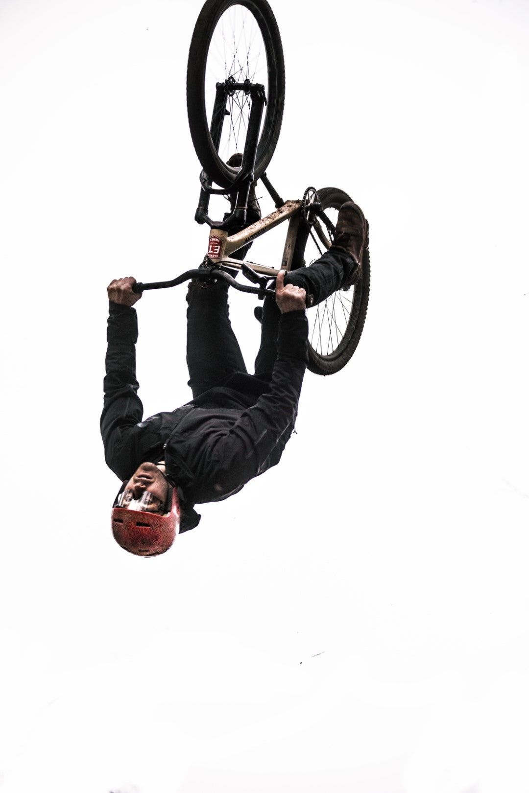 Zu Besuch bei Stevie Schneider