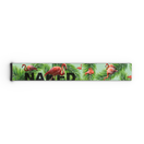 NAKED Optics Extra-Band (45 mm) für FORCE EVO, TROOP EVO, STORM, NOVA, SOLAR und ZEND – besticht durch ein farbenfrohes Design mit Flamingos und grünen Palmblättern auf hellem Hintergrund, von oben betrachtet.