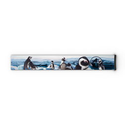 Fünf Pinguine stehen auf Eis, im Hintergrund sind schneebedeckte Berge und ein blauer Himmel zu sehen. Ihre verspielten Posen spiegeln den Abenteuergeist wider, für den die Extra-Armbänder – FORCE EVO, TROOP EVO, STORM, NOVA, SOLAR, ZEND (45 mm) – von NAKED Optics stehen.