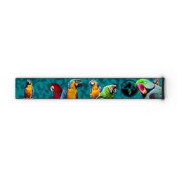 Sechs bunte Papageien stehen auf einem blaugrünen Balken, auf dem eine NAKED Optics-Skibrille mit dem Extra Strap abgebildet ist – FORCE EVO, TROOP EVO, STORM, NOVA, SOLAR, ZEND (45 mm) befestigt sind, während auf der rechten Seite vor einem einfarbigen Hintergrund ein schwarzes NAKED Optics-Logo zu sehen ist.