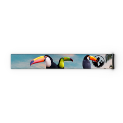 Drei Tukane mit bunten Schnäbeln sind nebeneinander auf einem rechteckigen weißen Hintergrund abgebildet; ihre leuchtenden Farben spiegeln die dynamischen Muster wider, die auf einem NAKED Optics Extra Strap – FORCE EVO, TROOP EVO, STORM, NOVA, SOLAR, ZEND (45 mm) – zu finden sind.