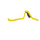 Jaw preview