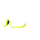Jaw preview