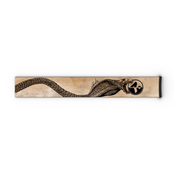 Eine sich zusammenrollende Schlange, die in einen runden Gegenstand mit geometrischem Muster auf einem beigen, rechteckigen Hintergrund beißt – ein Motiv, das an die markanten Designs der NAKED Optics Extra Strap (FORCE EVO, TROOP EVO, STORM, NOVA, SOLAR, ZEND 45 mm) erinnert.